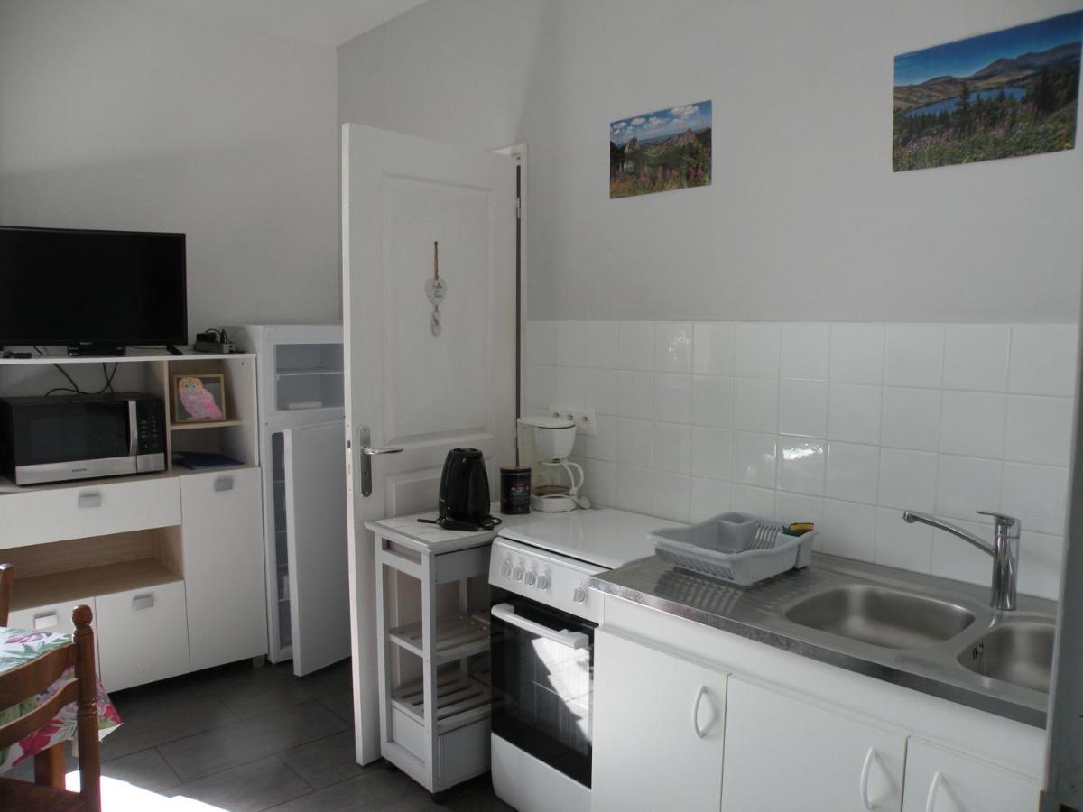 Rose, 4 Pers. Villa Saint Antoine, Orcival, Sancy 外观 照片